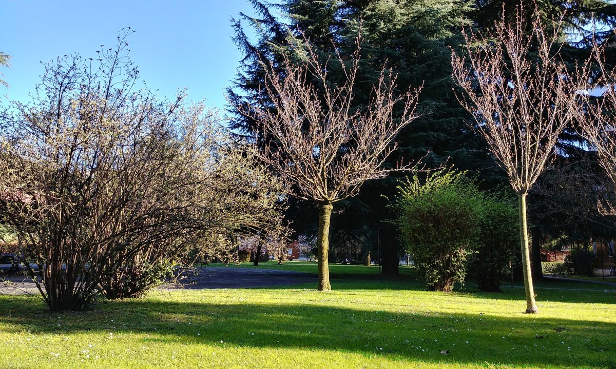 Galleria foto 'Apple, Huawei, OnePlus, LG, Google: lo smartphone con la fotocamera migliore?' - foto 65