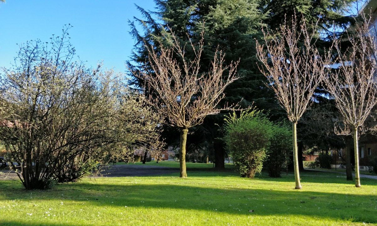 Galleria foto 'Apple, Huawei, OnePlus, LG, Google: lo smartphone con la fotocamera migliore?' - foto 66