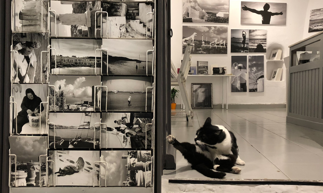 Apple, Huawei, OnePlus, LG, Google: lo smartphone con la fotocamera migliore? Apple, Huawei, OnePlus, LG, Google: lo smartphone con la fotocamera migliore?