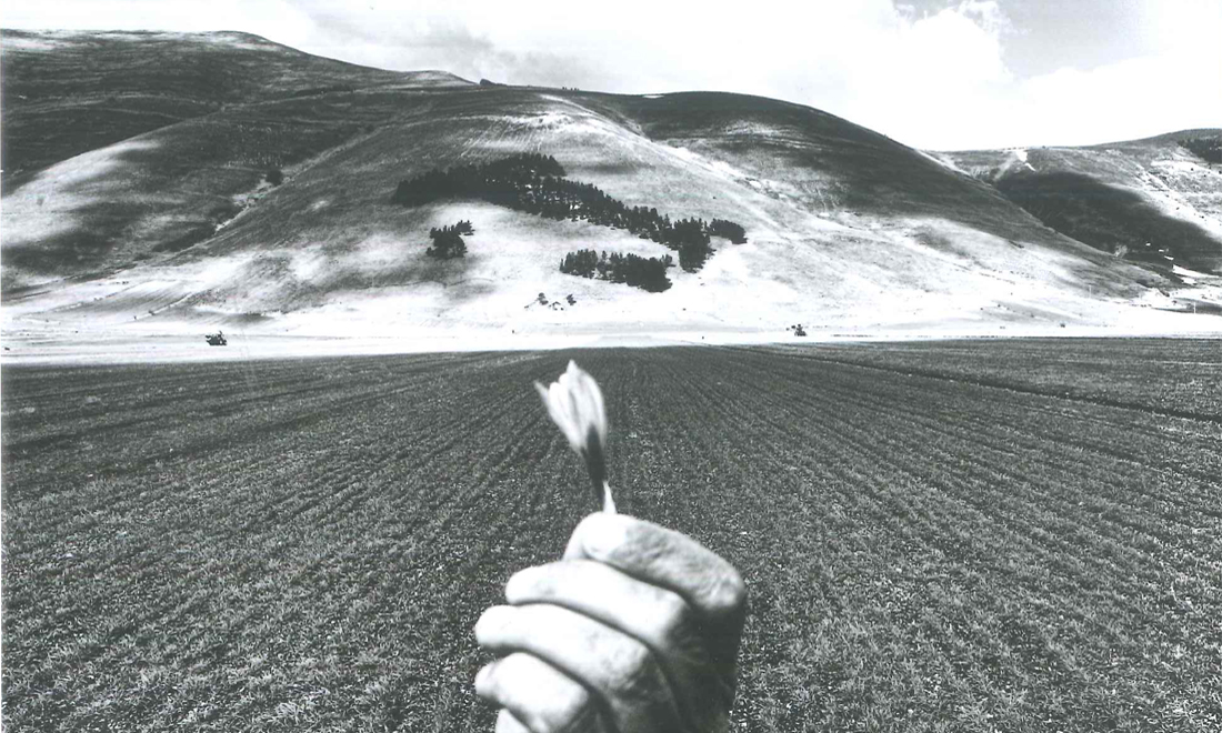 Angelo Ferracuti, Giovanni Marrozzini, ‘Gli spaesati’ – La recensione