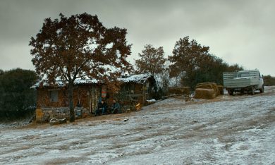 L’albero dei frutti selvatici di Nuri Bilge Ceylan, alla ricerca della propria identità – Video