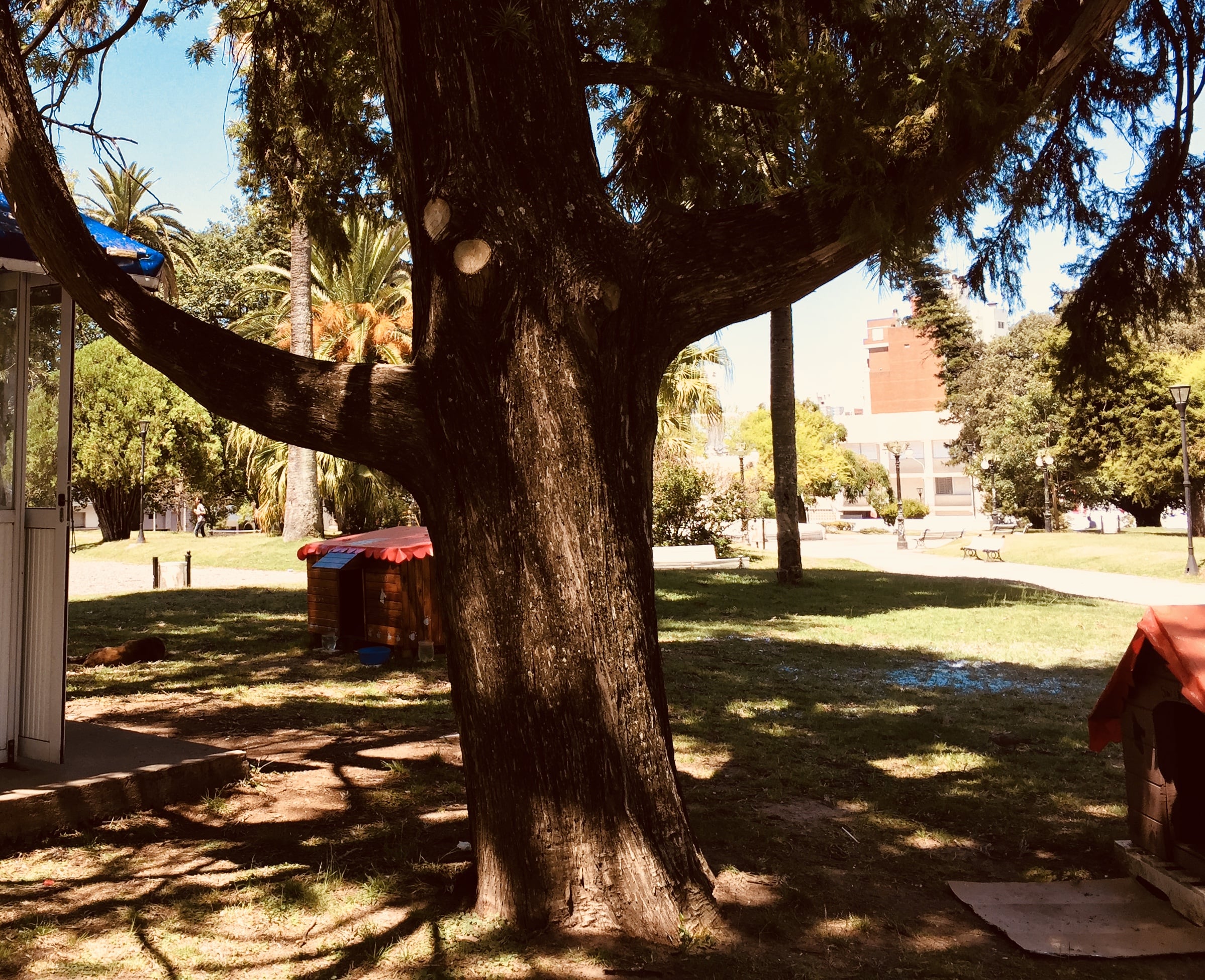 Una cosa impensabile