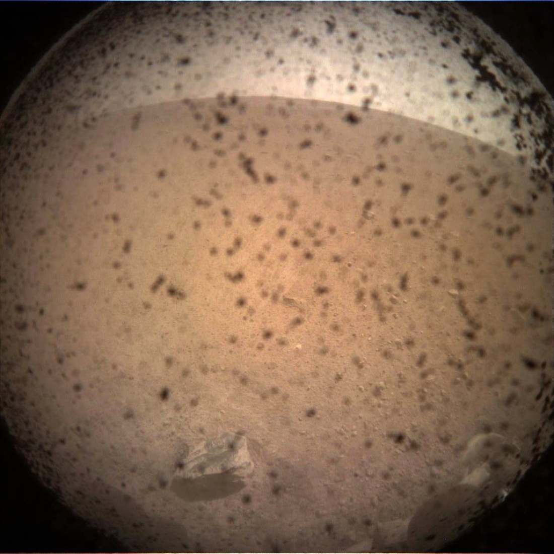 La sonda Insight è arrivata su Marte – FOTO –