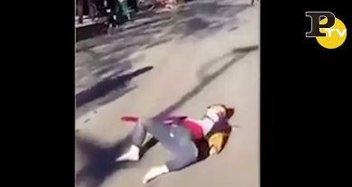 Cina, auto falcia un gruppo di bambini: almeno 5 morti | video