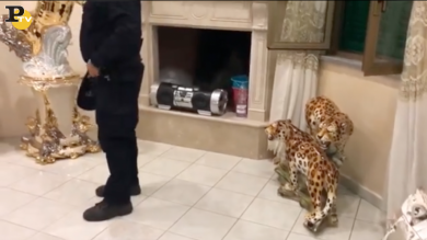 Ecco gli interni delle ville dei Casamonica, sequestrate | video