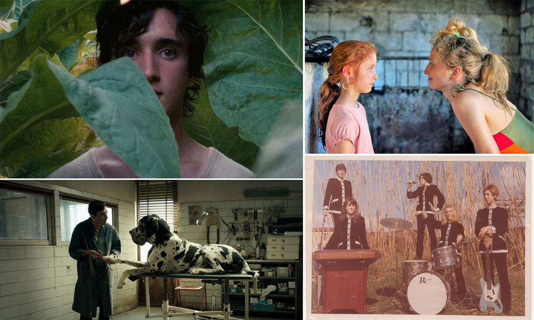 I 10 film italiani più belli del 2018