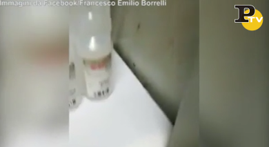 Napoli: Ospedale San Giovanni invaso dalle formiche | video