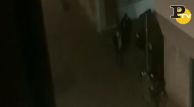 Attentato Strasburgo: gli spari e la caccia a Cheriff Chekatt  | video