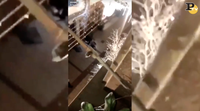 Attentato a Strasburgo: spari tra la folla, 3 morti e 12 feriti | video