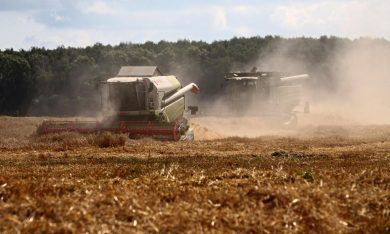 La Russia, nuova superpotenza agricola