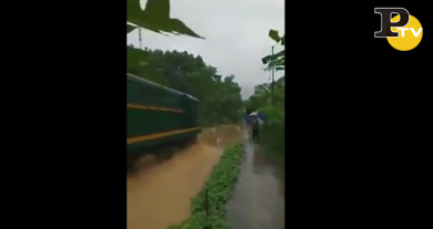 Treno passa in mezzo alla giungla | video
