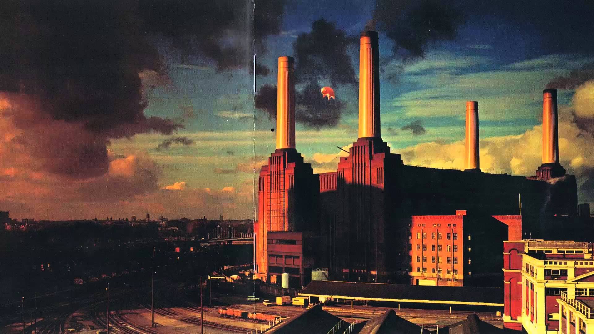 Pink Floyd: perché “Animals” è un album fondamentale