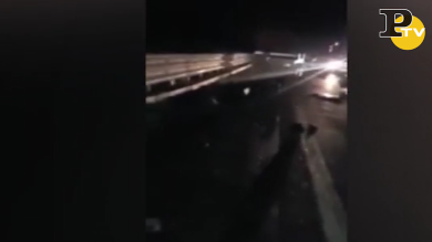 Caserta, fuggono dalla polizia ma si schiantano con tir: 4 morti | video