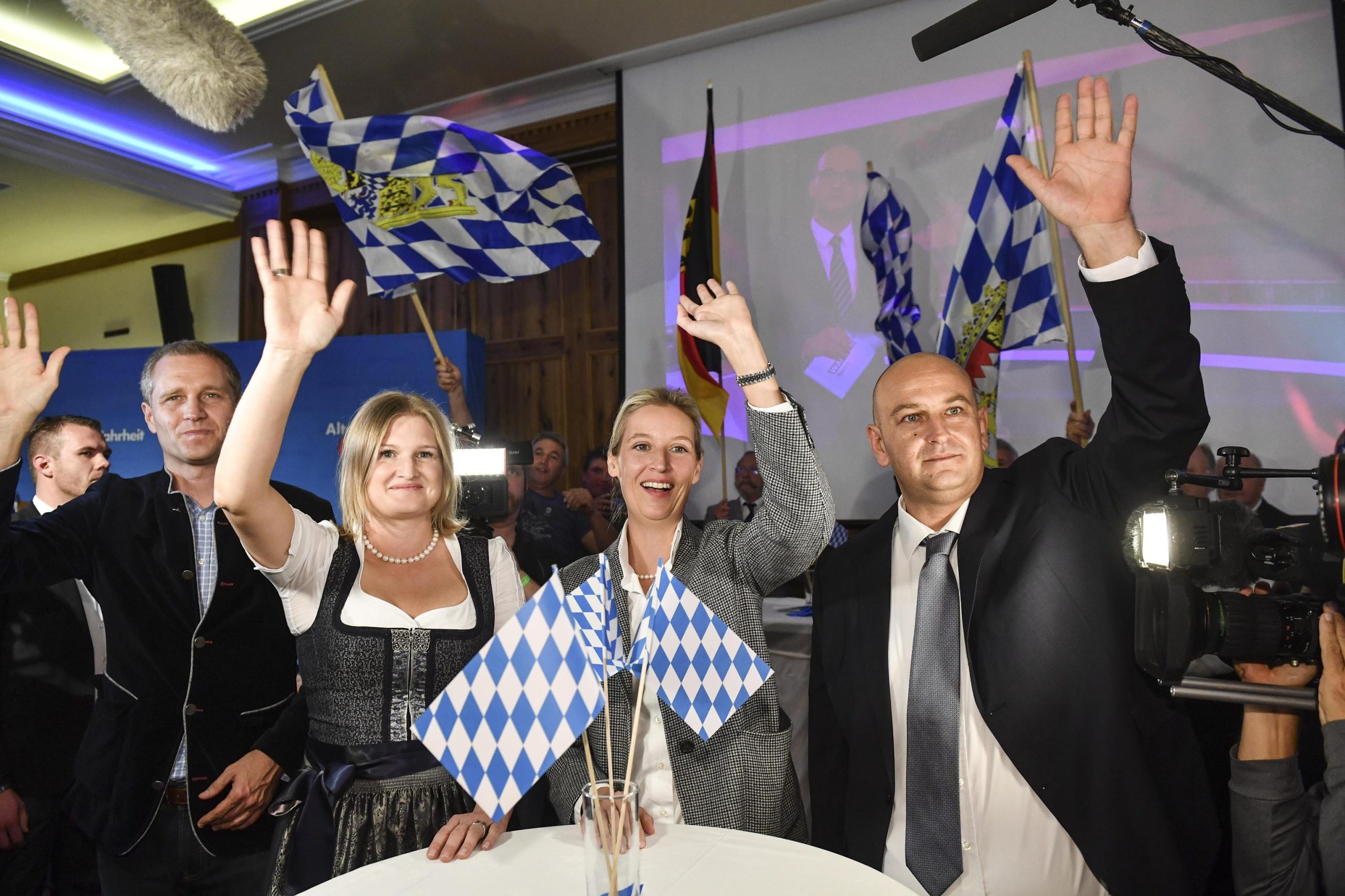 Perché è un’anomalia (grave) l’indagine dei servizi tedeschi su Afd Perché è un’anomalia (grave) l’indagine dei servizi tedeschi su Afd