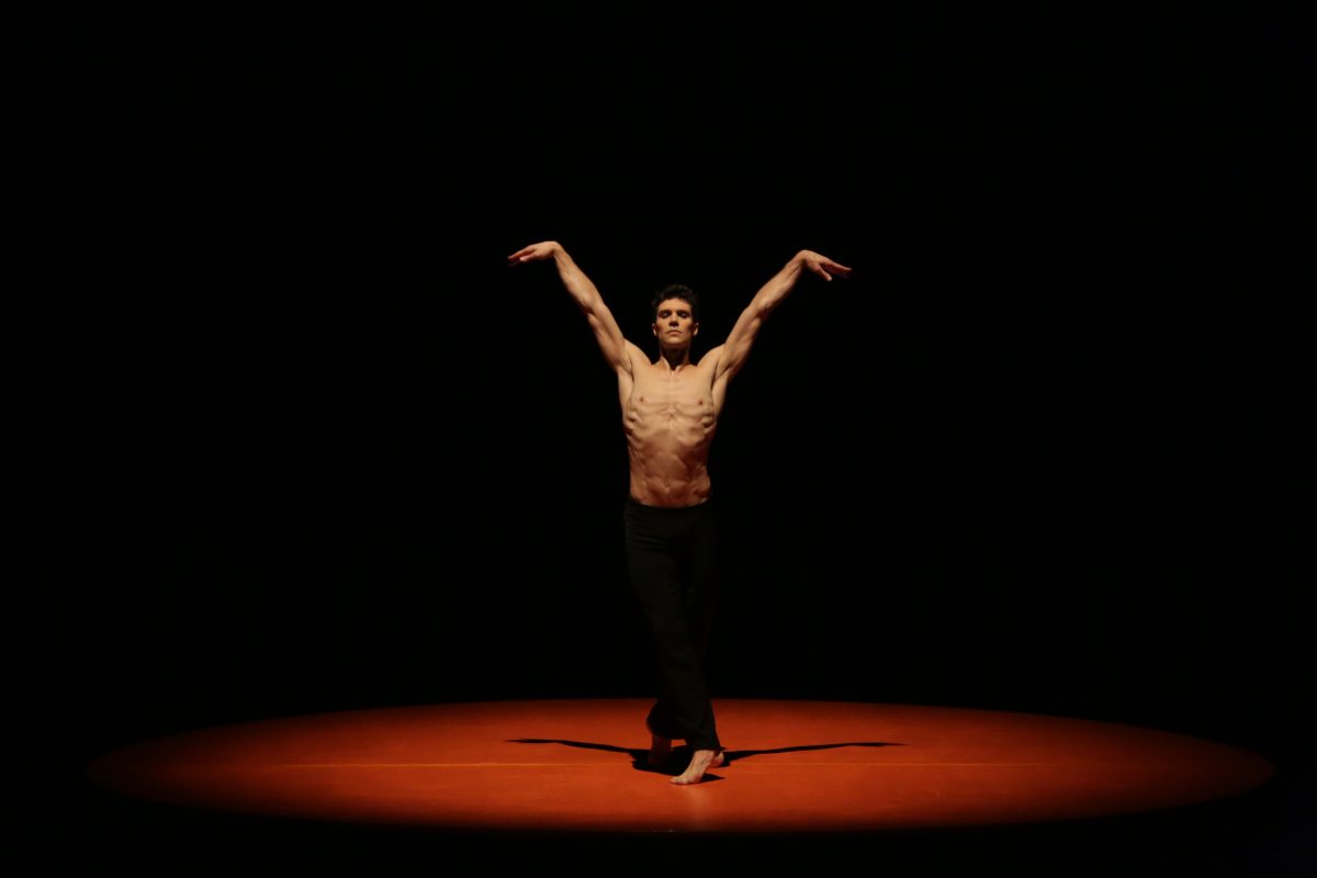 Galleria foto 'Danza con me: tutto sullo show di Roberto Bolle' - foto 3