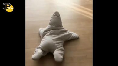 Bambino stellamarina gattona con difficoltà