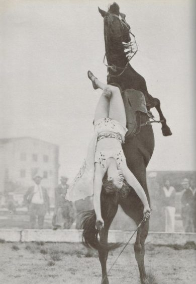 Donne fantino sul cavallo ormonale