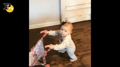 Bambina spinge il cane dal passeggino