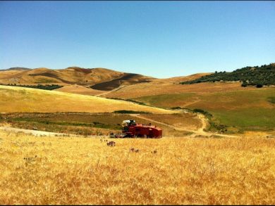 La semina la fa il robot