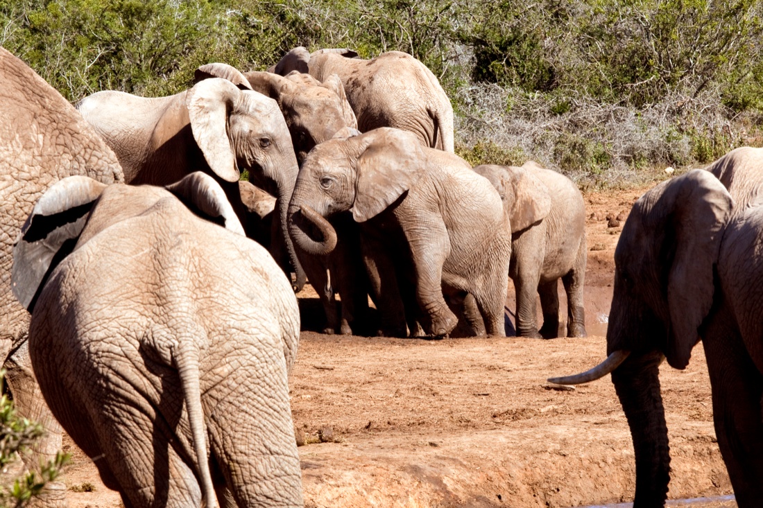 IED: Missions. Creativi senza frontiere