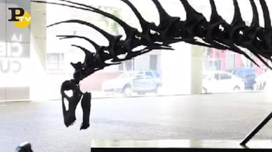 Patagonia, scoperto un dinosauro con lunghe spine