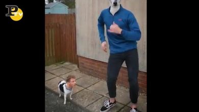 Cane e ragazzo ballano con i volti scambiati