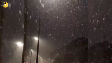 Neve a Milano | video