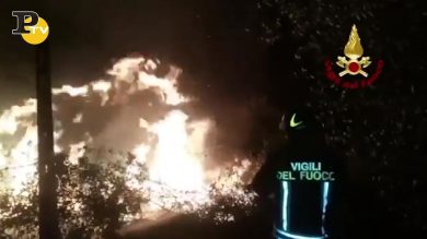 Incendio a Grottammare, dieci ettari di bosco bruciati nella notte