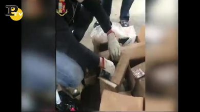 Bologna, scoperto un vero e proprio arsenale di armi