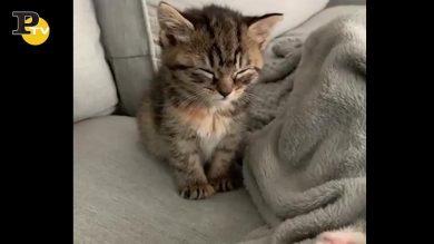 Uomini e Donne, nuovo confronto per Teresa langella e Andrea Dal Corso