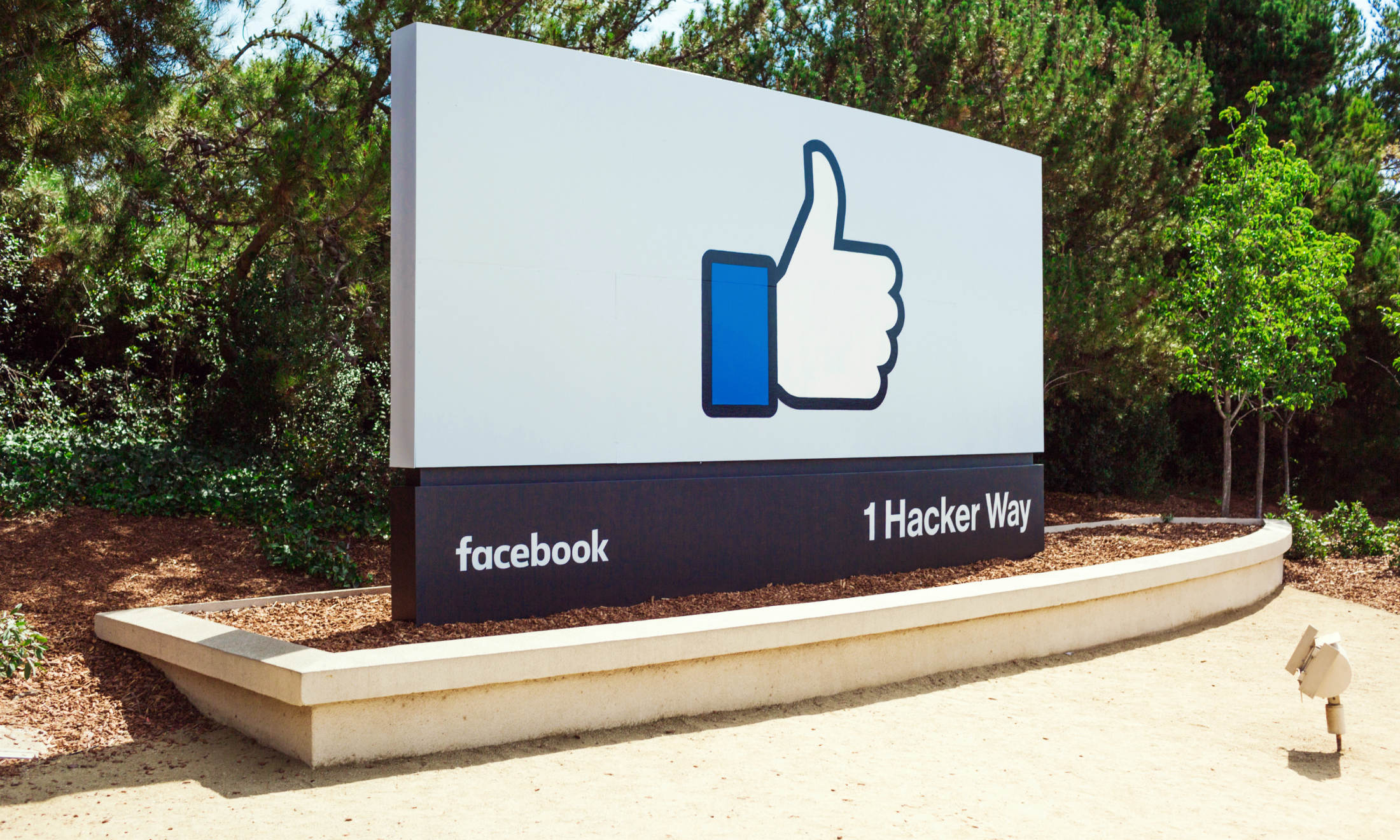 Facebook e Instagram, perché è meglio cambiare subito la password