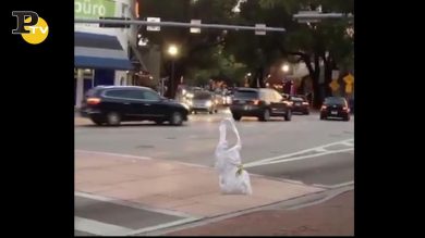 Sacchetto che sembra un uomo attraversa la strada