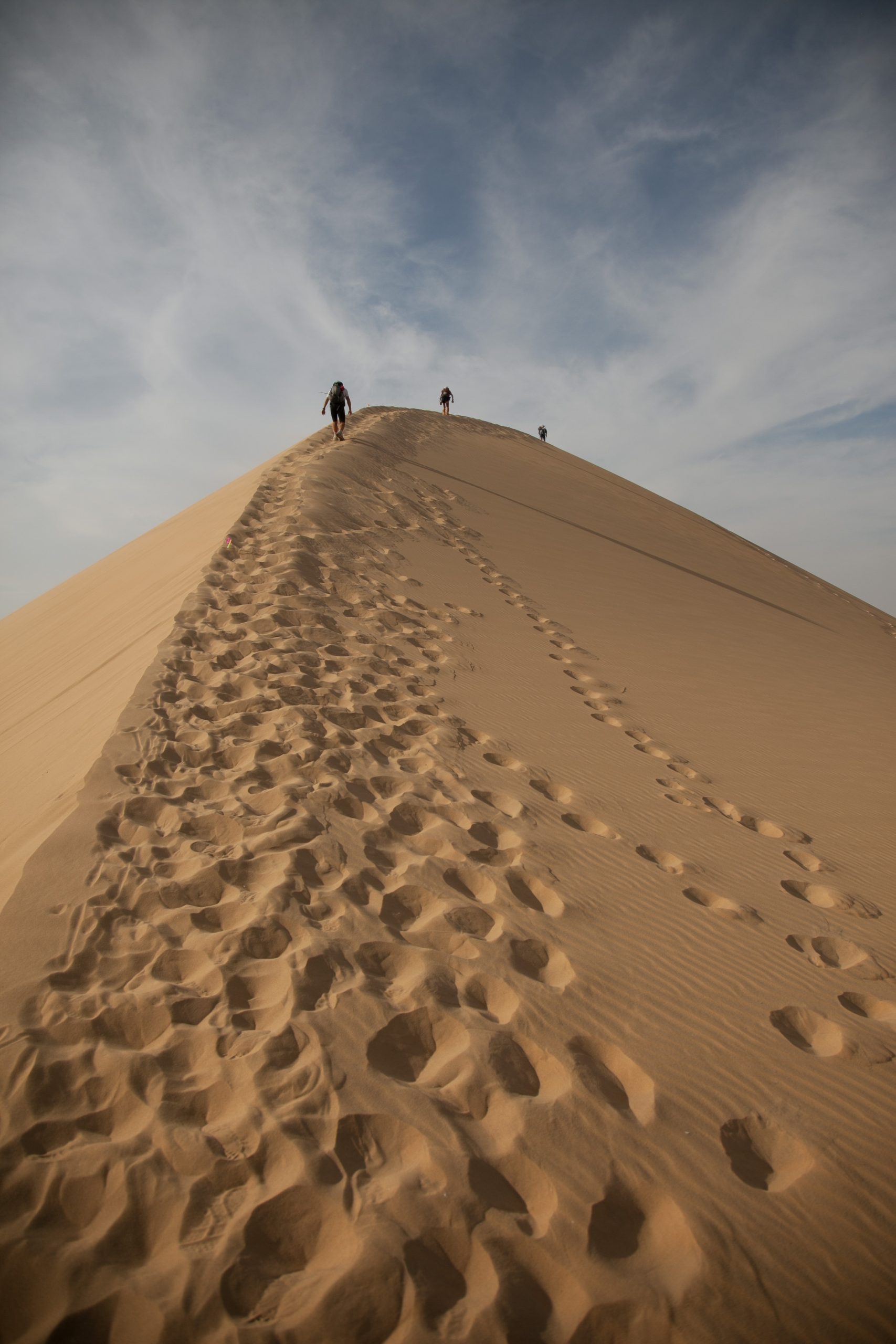 Le nostre prime impronte sulla Terra