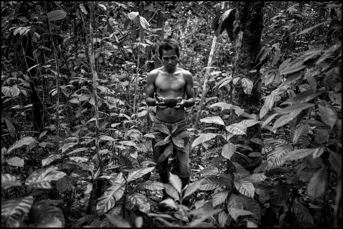 Pirelli: un viaggio tra Thailandia e Indonesia alla scoperta della gomma naturale