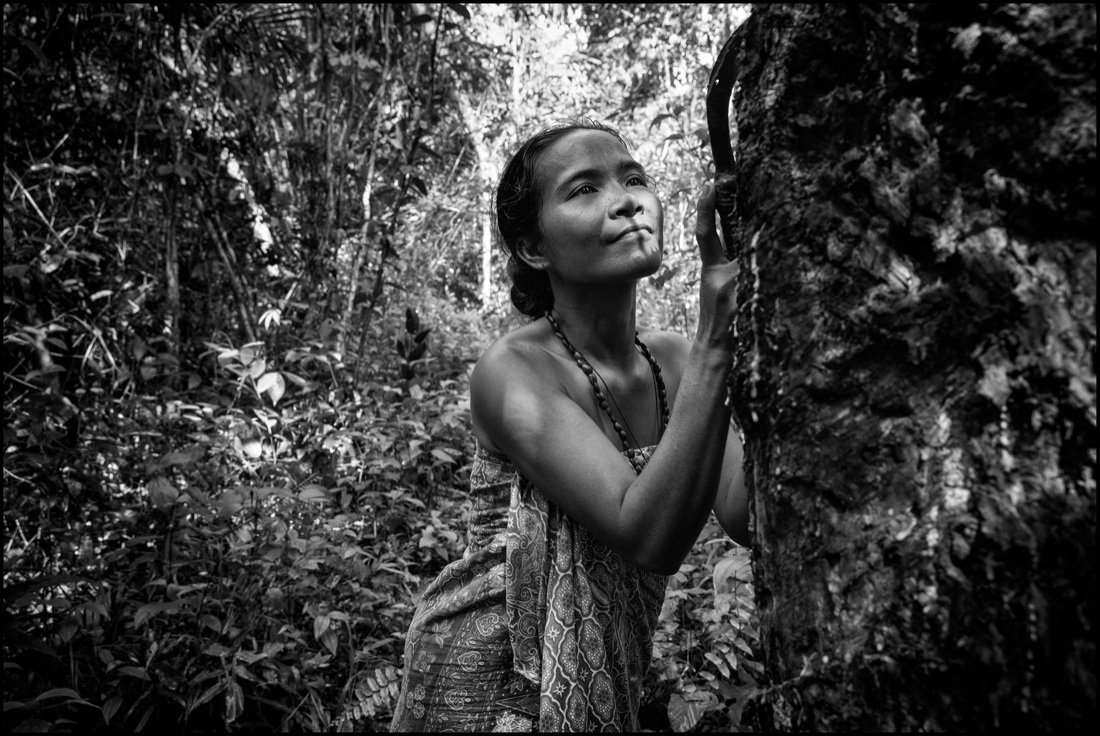 Pirelli: un viaggio tra Thailandia e Indonesia alla scoperta della gomma naturale
