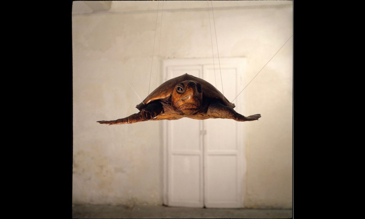 Galleria foto 'Chi ha spaccato i piatti Fornasetti? Intervista all’artista Carlo Dell’Acqua' - foto 13