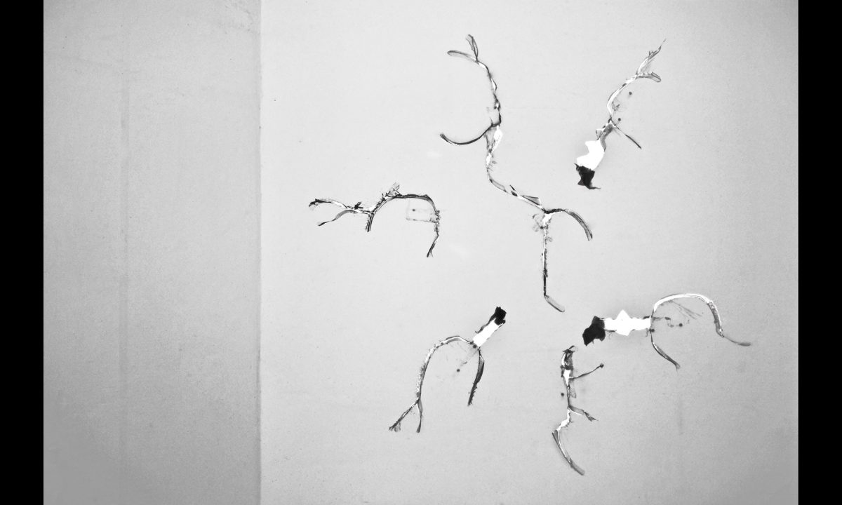 Galleria foto 'Chi ha spaccato i piatti Fornasetti? Intervista all’artista Carlo Dell’Acqua' - foto 7