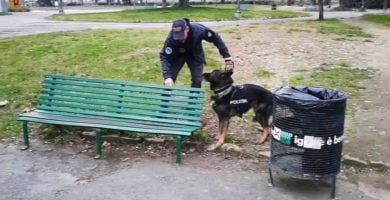 Firenze, inchiesta sul degrado del “Giglio” sfiorito