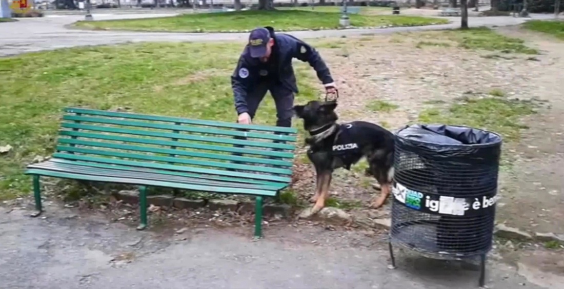 Firenze, inchiesta sul degrado del “Giglio” sfiorito Firenze, inchiesta sul degrado del “Giglio” sfiorito
