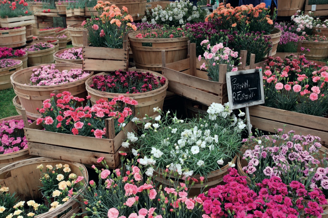 Torna a Roma il Festival del Verde e del Paesaggio