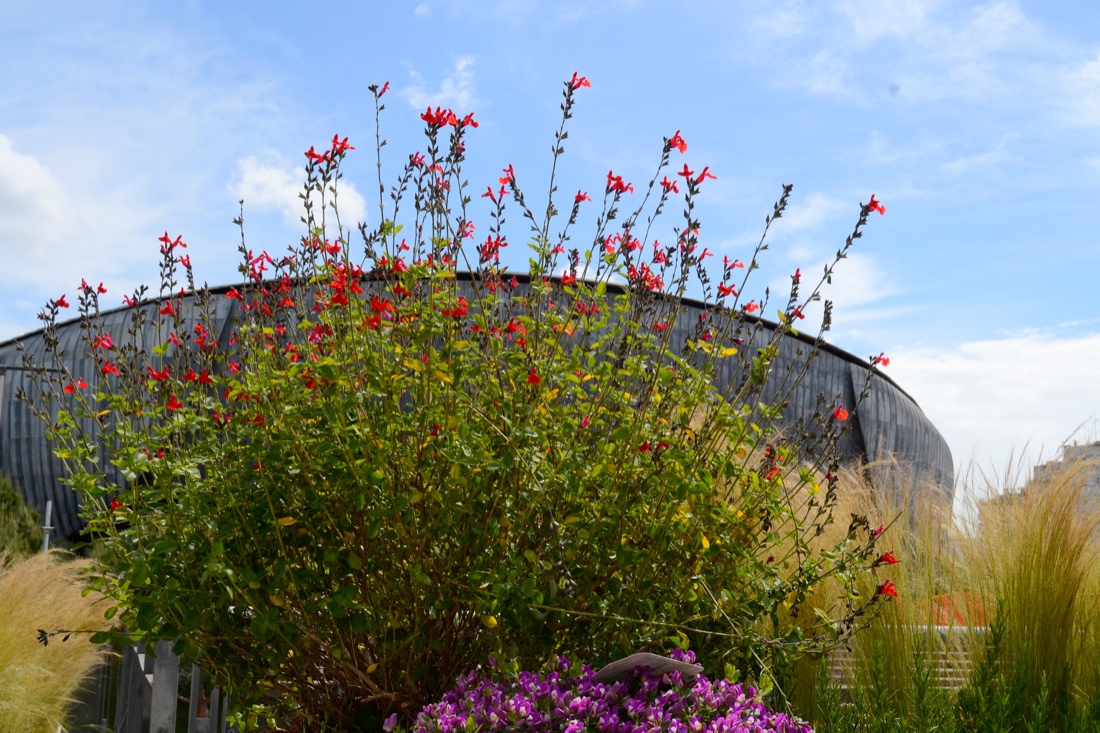 Torna a Roma il Festival del Verde e del Paesaggio