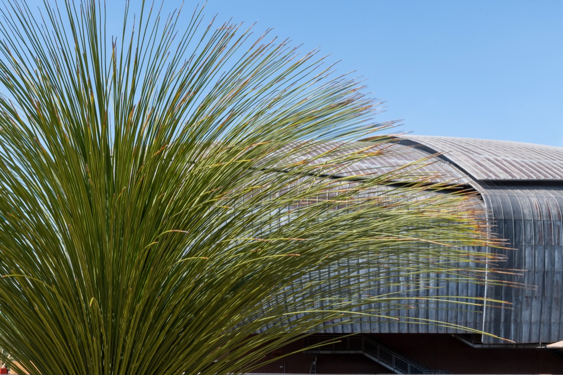 Torna a Roma il Festival del Verde e del Paesaggio