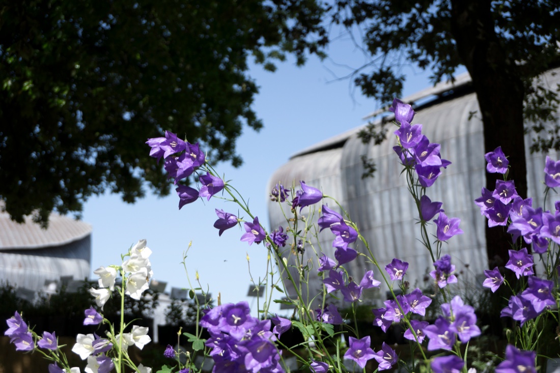 Torna a Roma il Festival del Verde e del Paesaggio