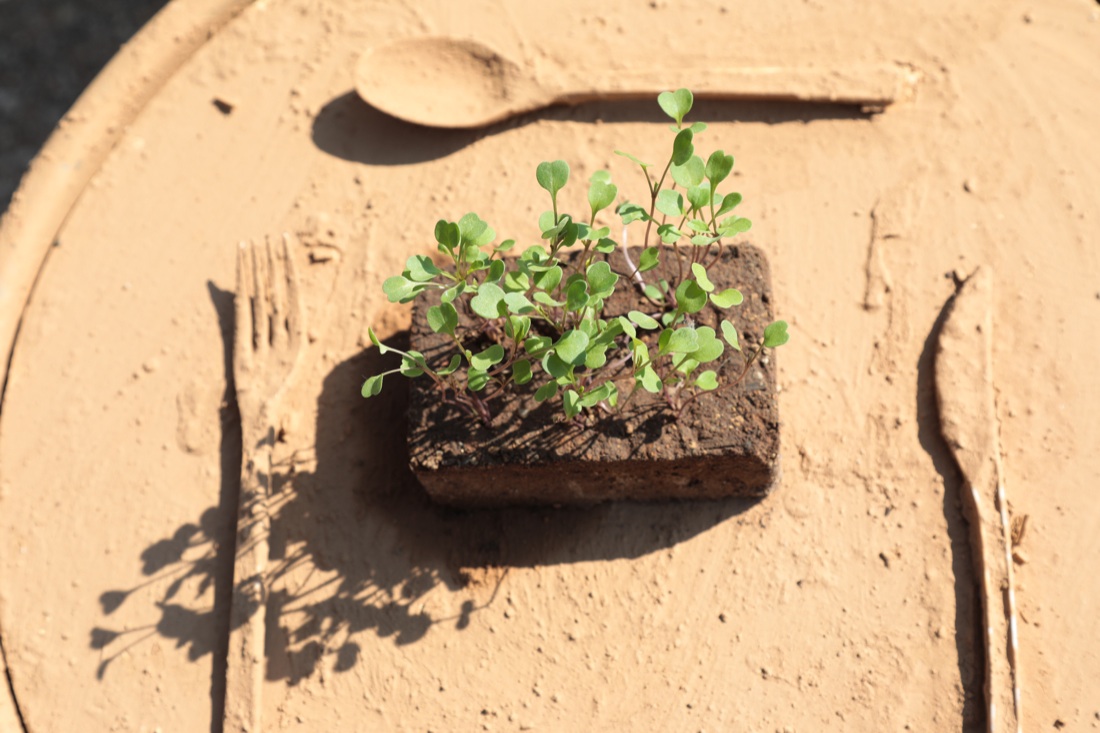 Torna a Roma il Festival del Verde e del Paesaggio