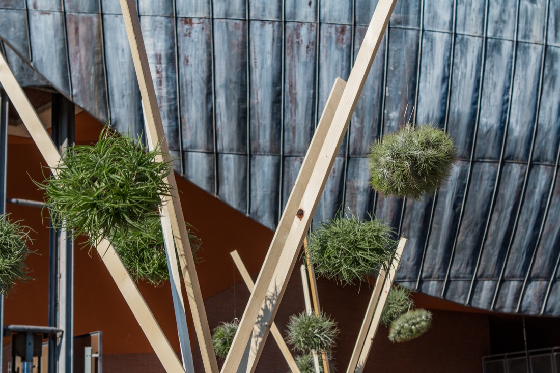 Torna a Roma il Festival del Verde e del Paesaggio