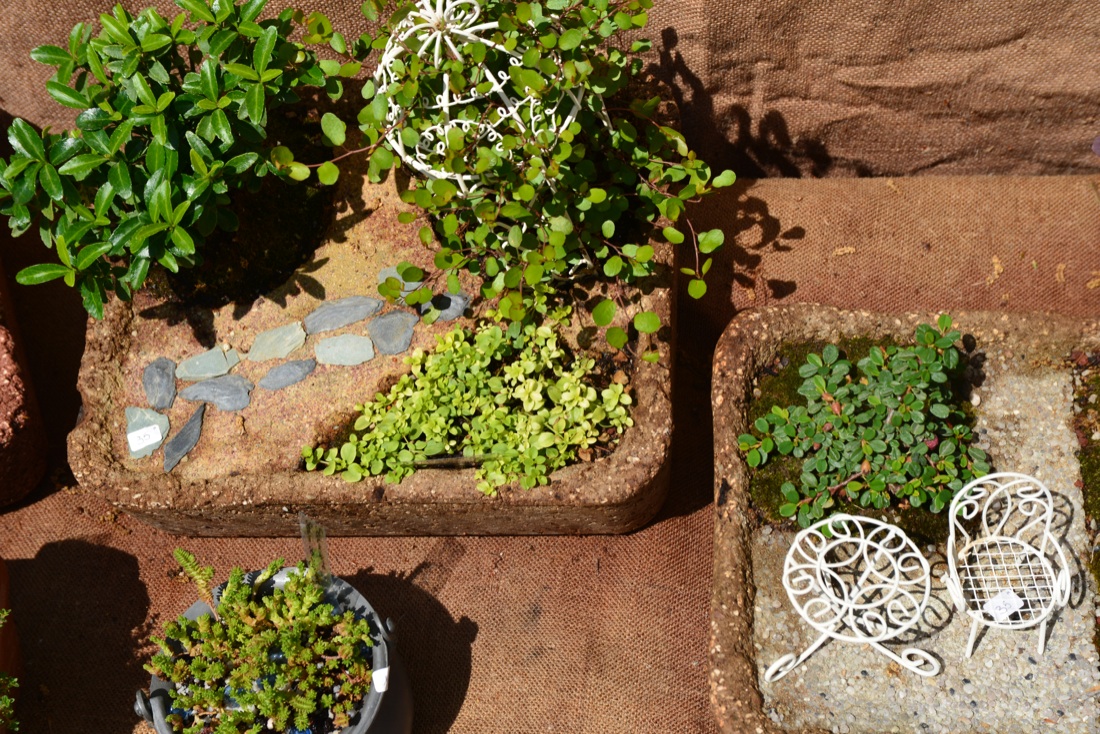 Torna a Roma il Festival del Verde e del Paesaggio