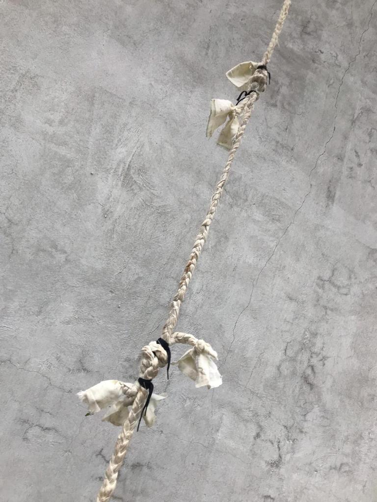 Due albanesi evadono dal carcere di Carinola | foto Due albanesi evadono dal carcere di Carinola | foto