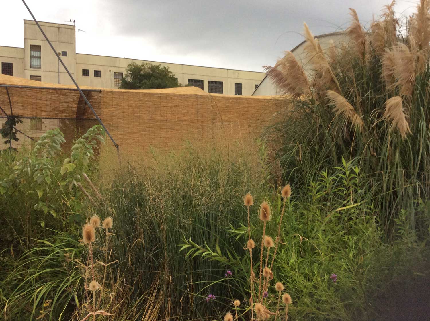 Il miracolo di Susanna Magistretti: un vivaio in un carcere