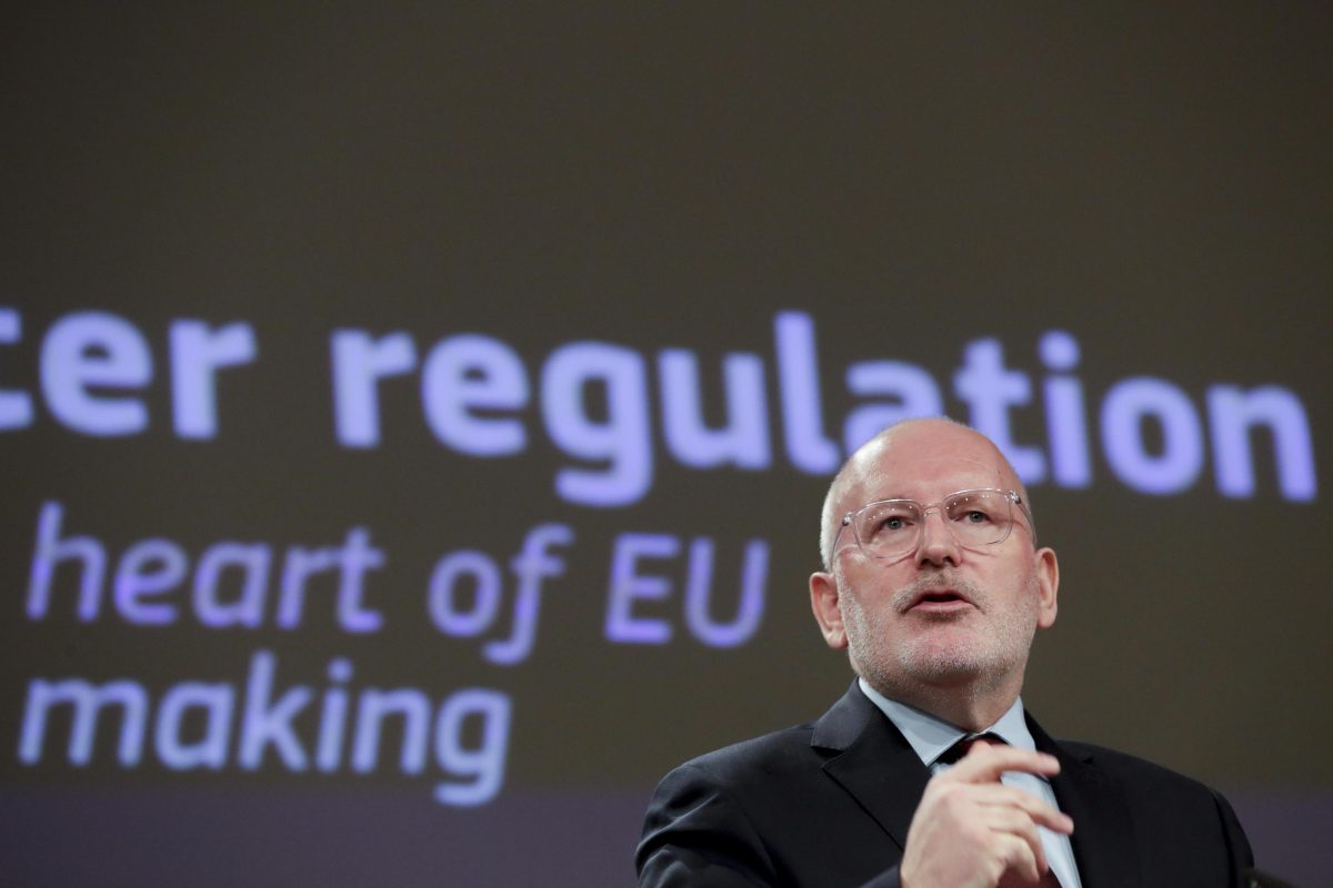 Galleria foto 'Elezioni Europee 2019: i candidati alla presidenza (e le loro posizioni)' - foto 3