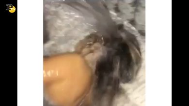 Ragazzo fa uno scherzo alla sua fidanzata